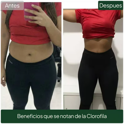 Clorofila Benevolent™ + GRATIS  Reto 15 días