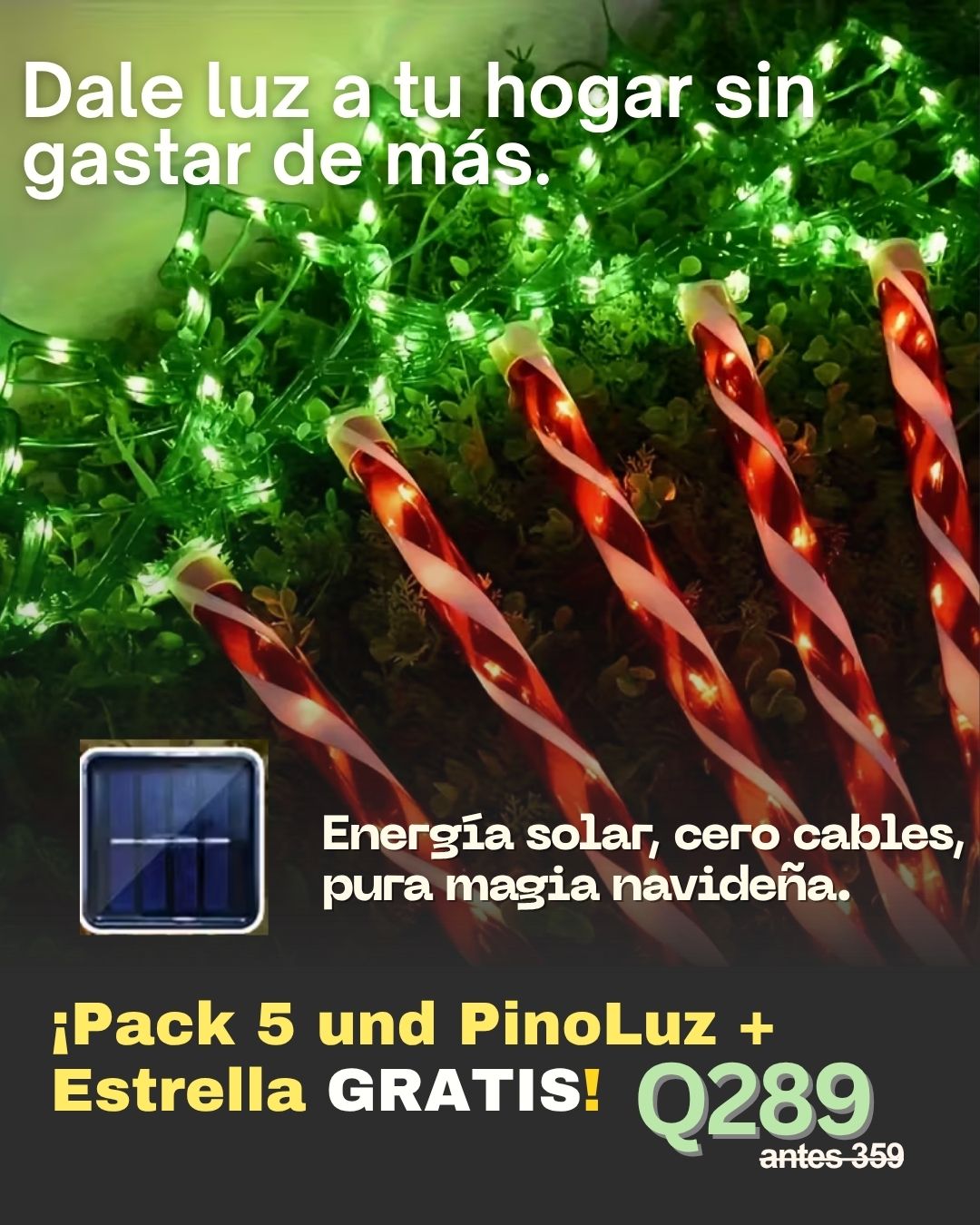 PinoLuz™ | Navidad que brilla sola